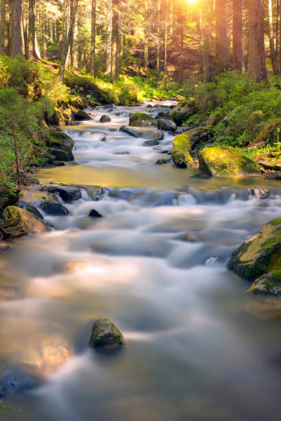 istock waterfall in Ukraine - on the Prut River 848821238
