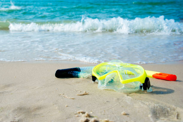 istock diving mask and a snorkel on the sand of a beach 848827310