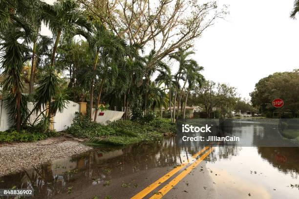 Flooded Streets In Fort Lauderdale Florida Usa Stock Photo - Download Image Now - Florida - US State, Hurricane - Storm, Flood