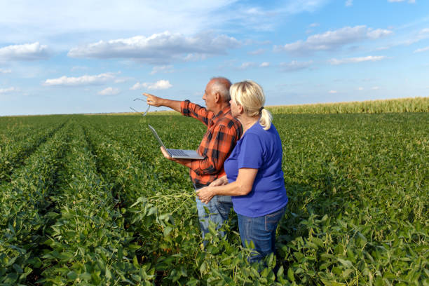 istock Senior couple working in soybean field 848841854