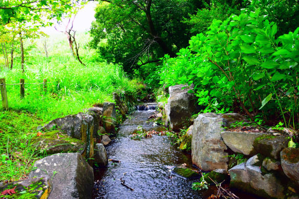 istock Autumn park after rain in Osaka. 848844372