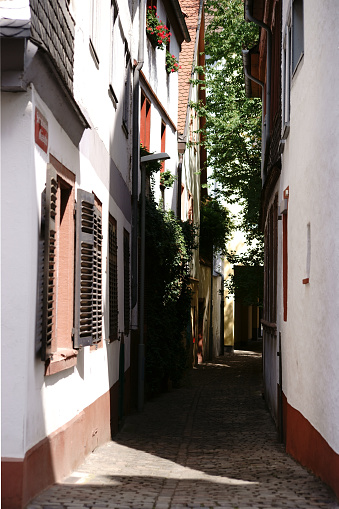 The photograph of a narrow alley between two buildings with a backyard.
