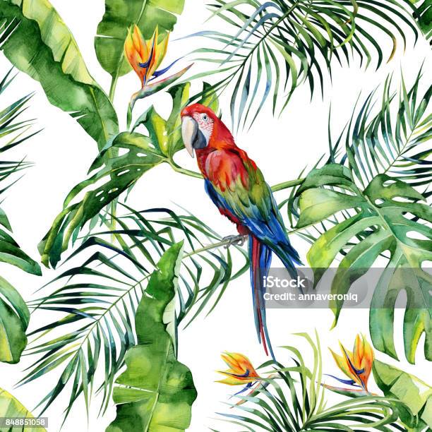Seamless Watercolor Illustration Of Tropical Leaves Dense Jungle Scarlet Macaw Parrot Stock Illustration - Download Image Now