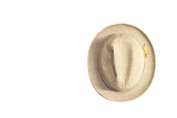 istock Brown hat isolated on a white background,top view 848861286