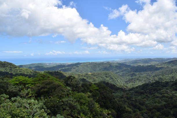 istock Puerto Rico Paradise 848862028
