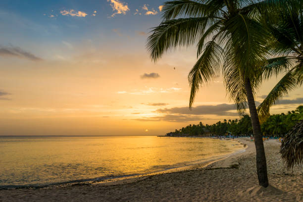 istock Beautiful sunset in the Caribbean 848866142