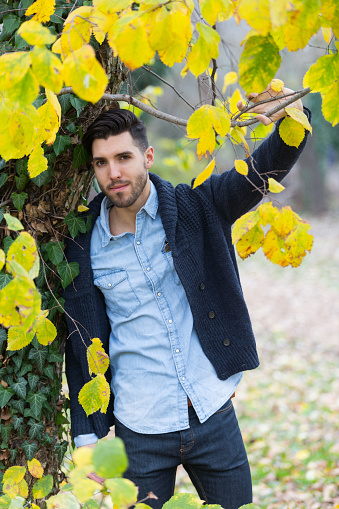 Handsome man in the park. Autumn scenery.yellow leafs