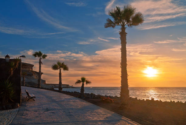 istock Stone pavement with palms along the sea at sunset 848866568