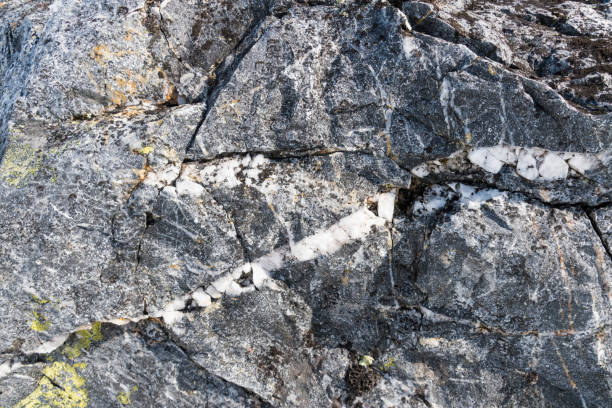 istock Colorful lichen on a rock 848868212