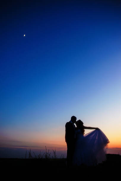 istock wedding couple in field. Bride and groom together. 848874680
