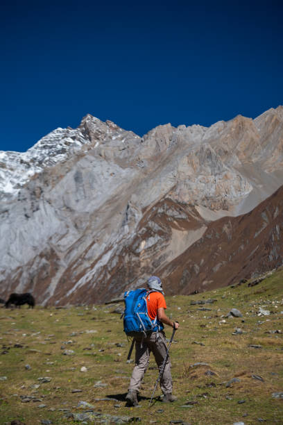 istock Trekker on Manaslu circuit trek in Nepal 848878446