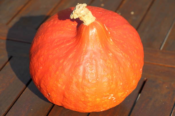 istock Pumpkin on a wooden table 848884710