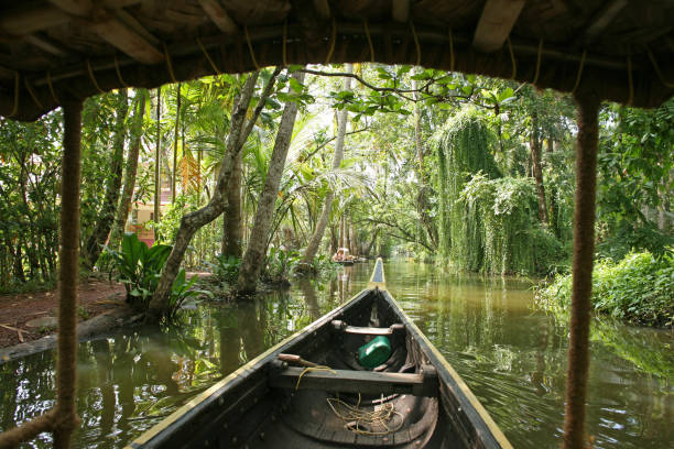 istock Canoe in the jungle on the Keralan Backwaters 848895406