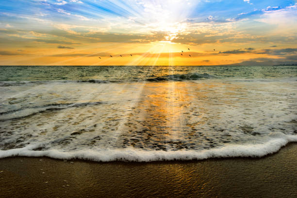 ocean soul baptême lumière sunset - beach ideas photos et images de collection