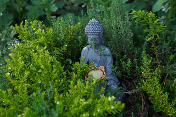 istock budda in the woods 848918460