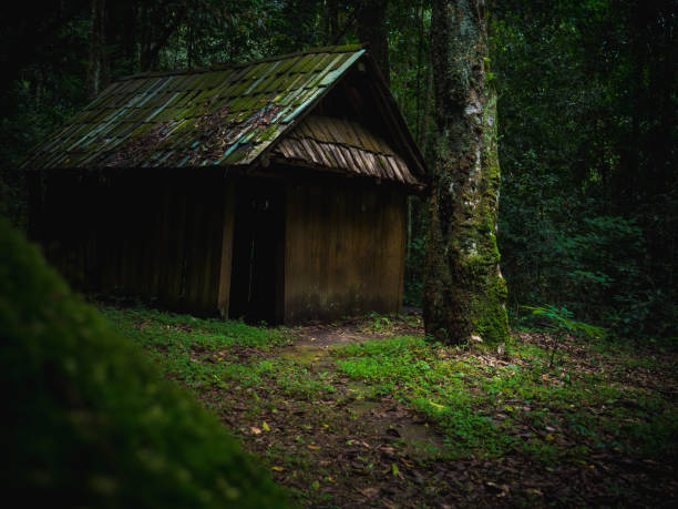 istock Old Wooden hut in rain forest in dramatic fantasy style. 848918666