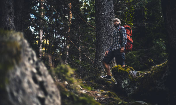 istock Traveler walking alone in the misty forest at sunset 848922336