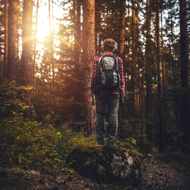 istock Traveler walking alone in the misty forest at sunset 848922416