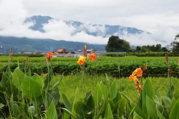 Photo of Misty mountain ranges