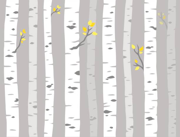 Aspen tree pattern Aspen or birch grove seamless pattern. Tree trunks on gray background, simple vector illustration. birch tree stock illustrations