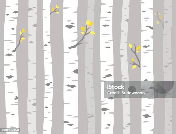 Aspen Tree Pattern Stock Illustration - Download Image Now - Aspen Tree, Birch Tree, Tree