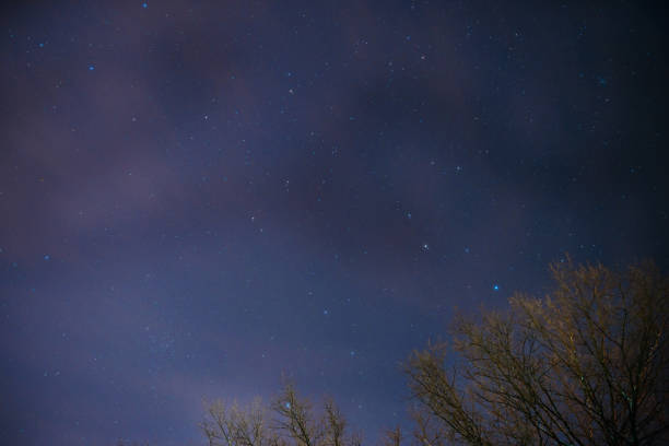 istock The Milky Way rises over the pine trees on a foreground 848942220