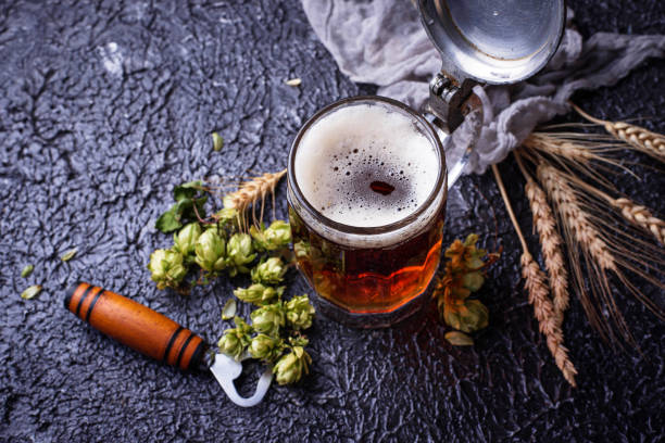 istock Mug of beer, hops and malt 848942838