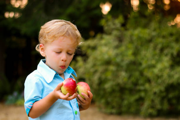 istock Little Boy Picking Apples in Autumn 848950110