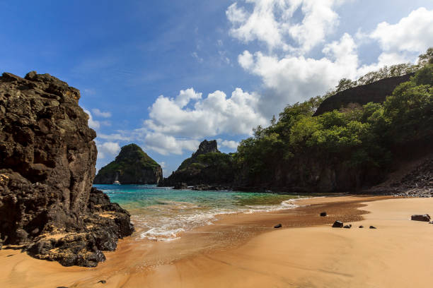 istock Pigs Bay at Fernando de Noronha 848953240