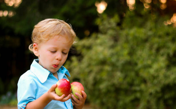 istock Child Harvesting Apples 848959050