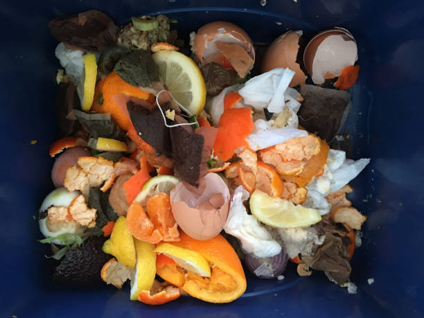 istock Container full of domestic food waste 848959590