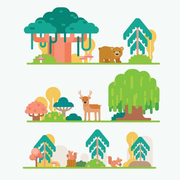 animals in forest vector art illustration