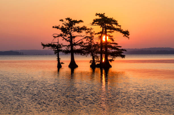 istock Scenic sunrise and cypress trees 848973354