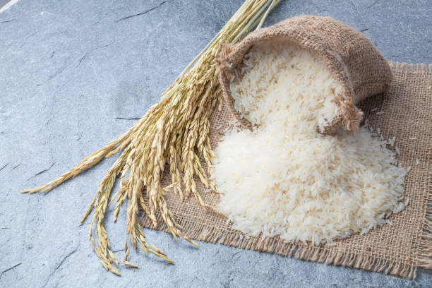 istock thai fragrant jasmine rice in a spoon with gold spike on Sack 848975244