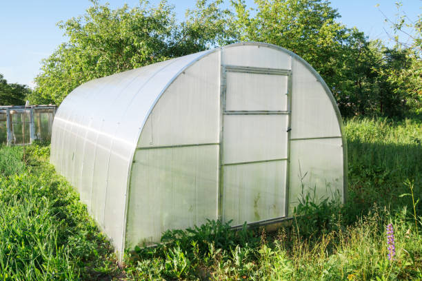 istock The greenhouse made in polycarbonate. Arch type. 848985590