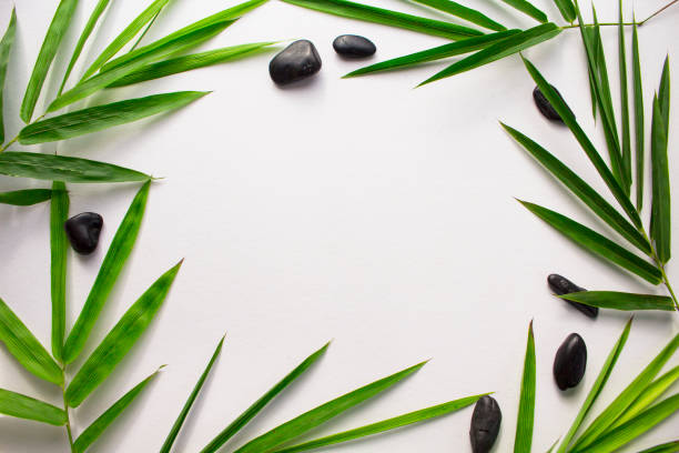 istock White paper with tropical leaf frame. Green bamboo leaf and sea beach pebbles flat lay. 848998372
