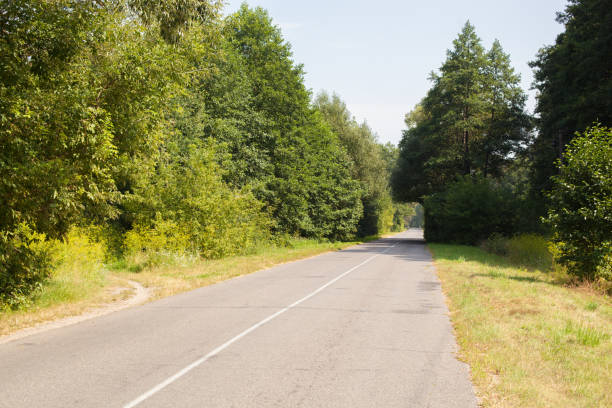 istock arch of trees on a deserted asphalt road 849004530