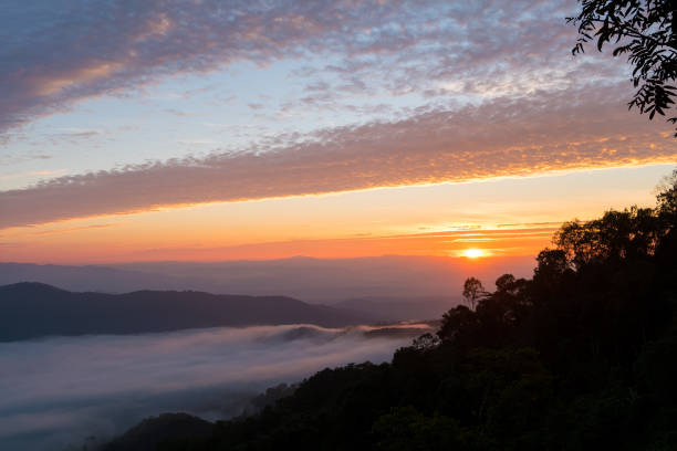 istock Fog in forest at Mon Ngo,Chiang mai,Thailand 849021764