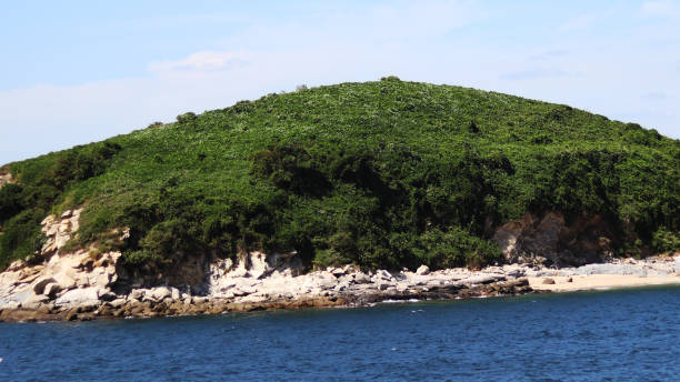 istock The sea and the small island 849054064