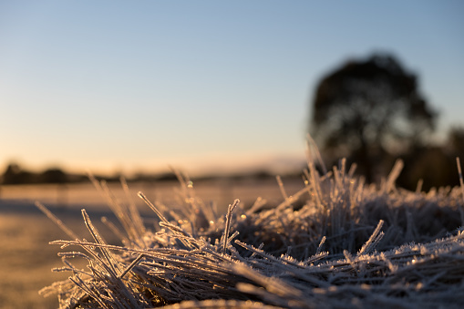 A frosty morning on the farm