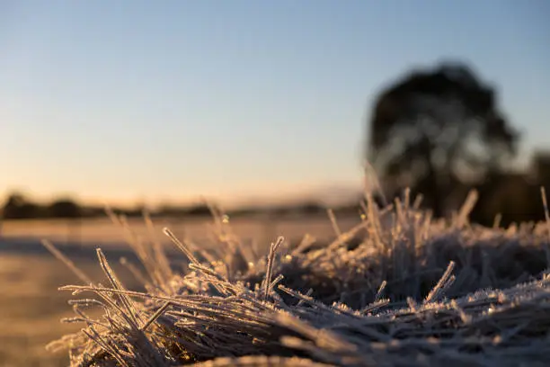 Photo of Frost on the hay