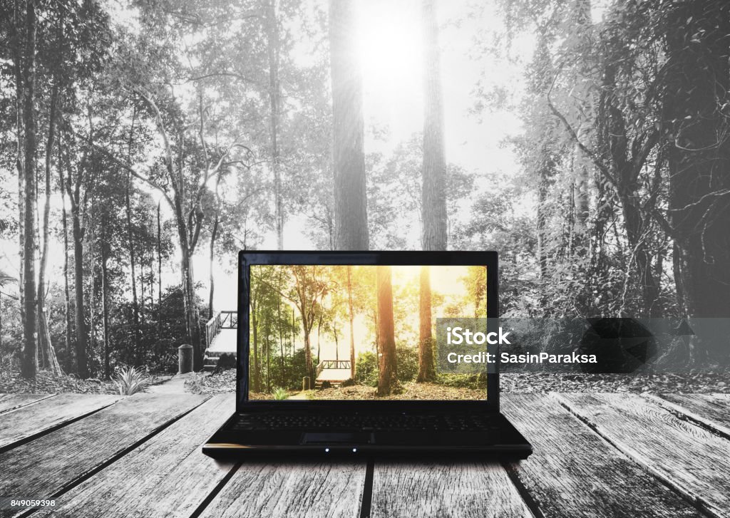 Computer laptop on wooden table, in the forest Laptop Stock Photo Computer laptop on wooden table, in the forest Laptop Stock Photo