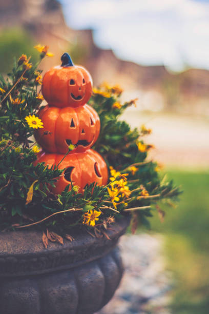 halloween jack o'lantern en pot de fleur bord de stoop - front stoop photos et images de collection