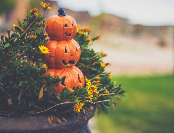 halloween jack o'lantern en pot de fleur bord de stoop - front stoop photos et images de collection