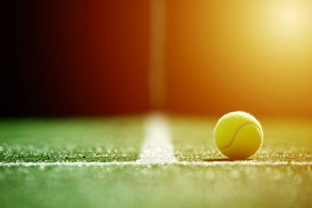 miękkie skupienie piłki tenisowej na trawiastym korcie tenisowym ze światłem słonecznym - tennis zdjęcia i obrazy z banku zdjęć