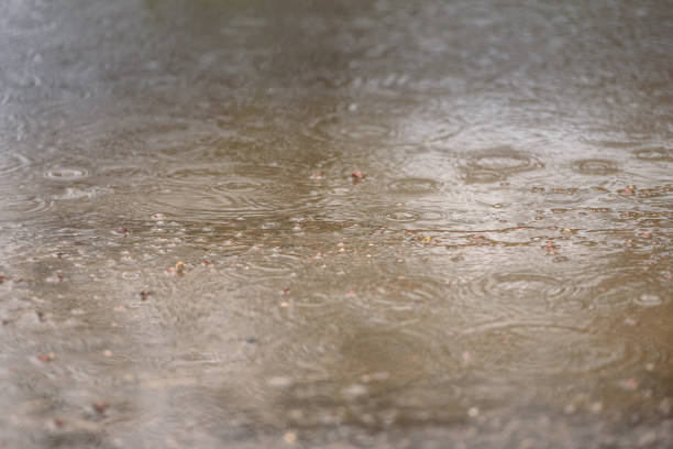 istock rain puddle close-up. During the rainy season. Bad weather 849078834