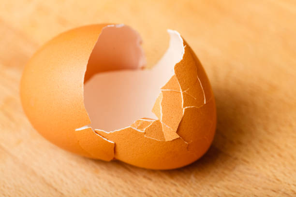 istock Detailed closeup of empty cracked eggshells 849081784