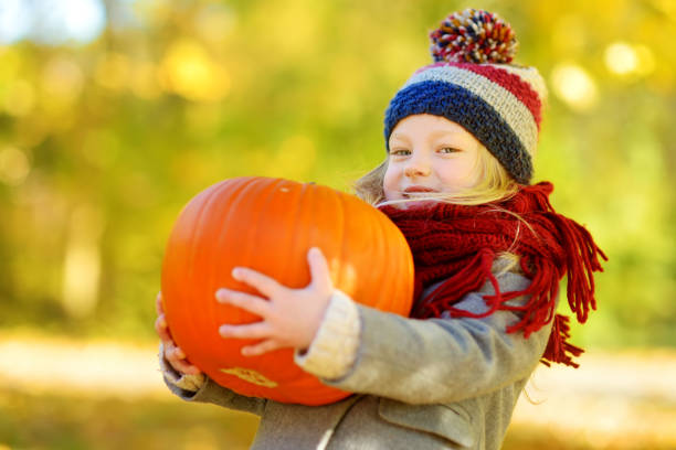 entzückende kleine mädchen, die spaß auf einem kürbisfeld an schönen herbsttag - pumpkin child little girls pumpkin patch stock-fotos und bilder