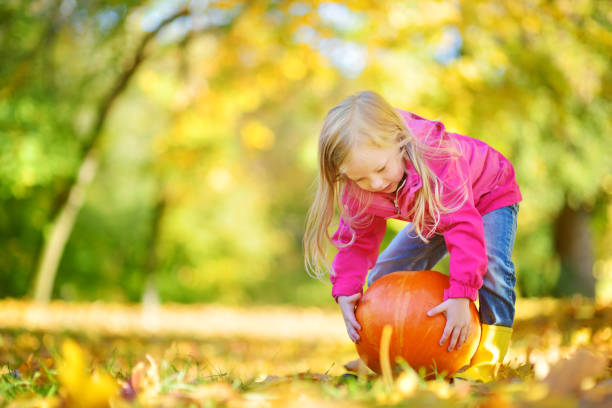 adorable little girl having fun on a pumpkin patch on beautiful autumn day - blond hair carrying little girls small imagens e fotografias de stock