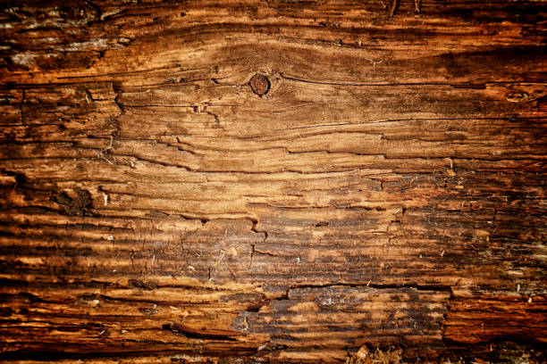 istock The old wood texture with natural patterns and cracks on the surface as background 849092802